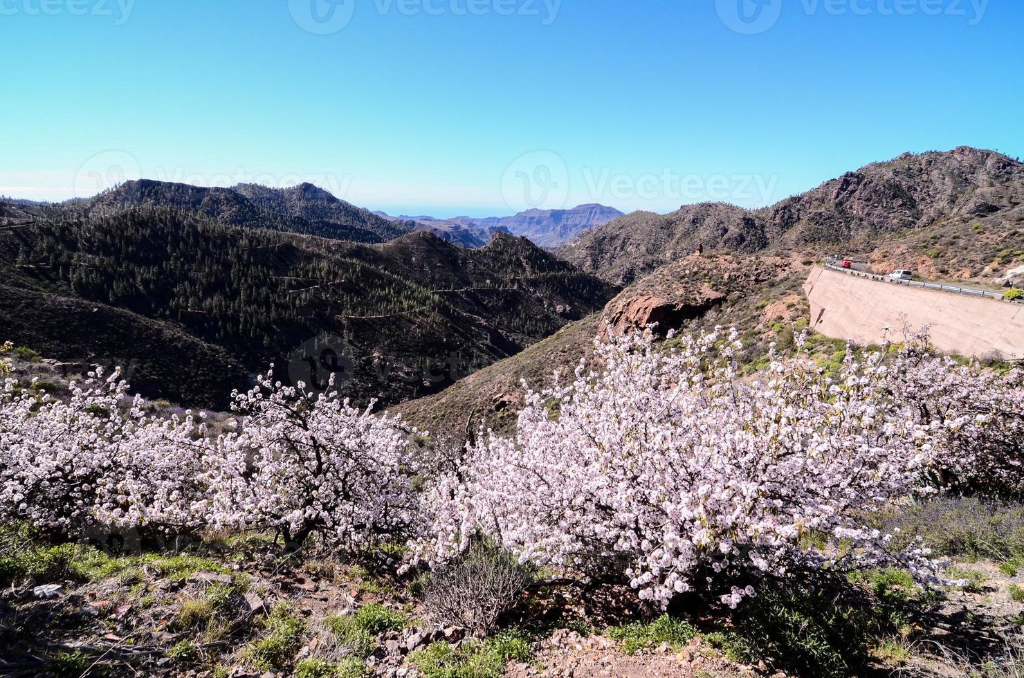 panoramico rurale paesaggio foto