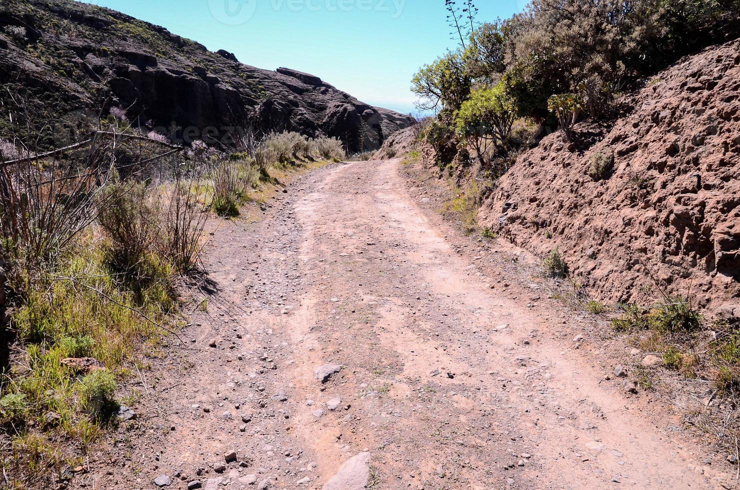 strada in campagna foto