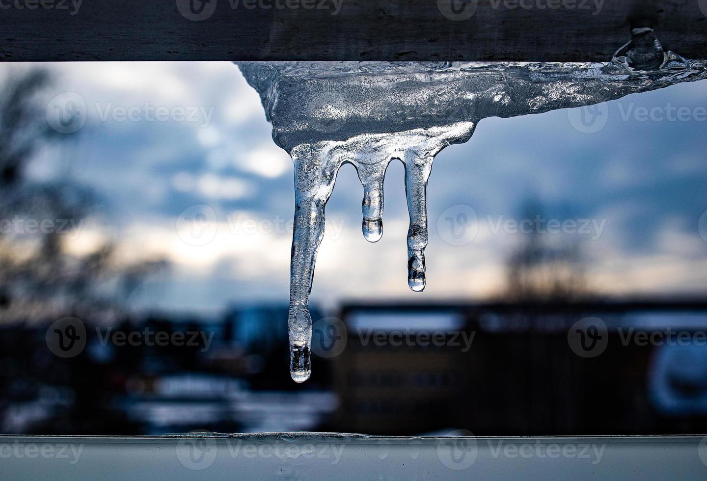 piccolo inverno ghiaccioli con gocciolante acqua avvicinamento foto