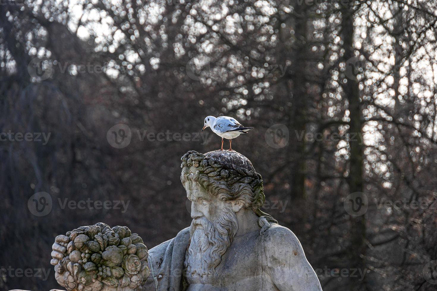 monumento con un' sterna su il testa di un' statua nel un' storico parco nel varsavia su un' inverno giorno foto