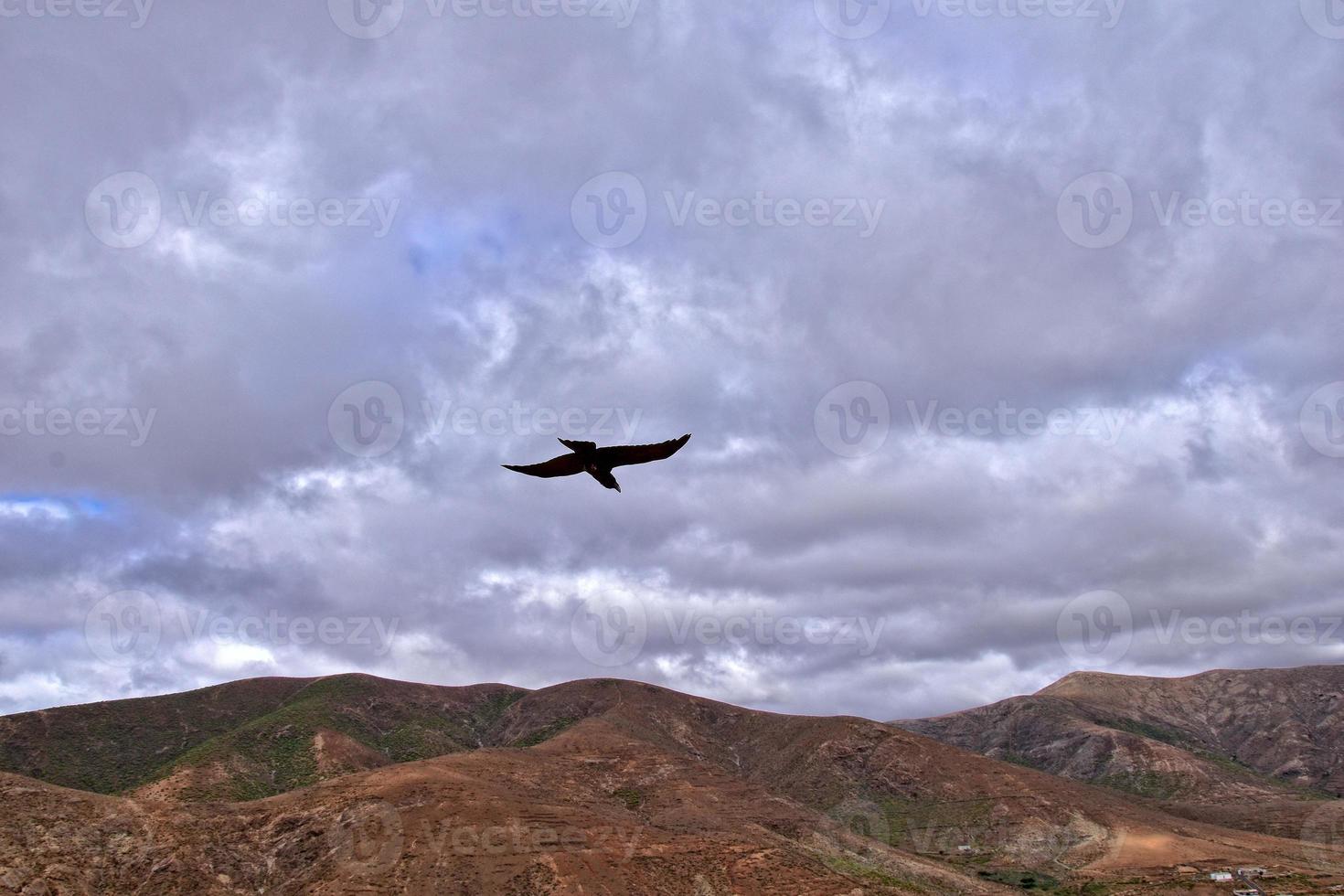 vuoto misterioso montagnoso paesaggio a partire dal il centro di il canarino isola spagnolo Fuerteventura con un' nuvoloso cielo foto