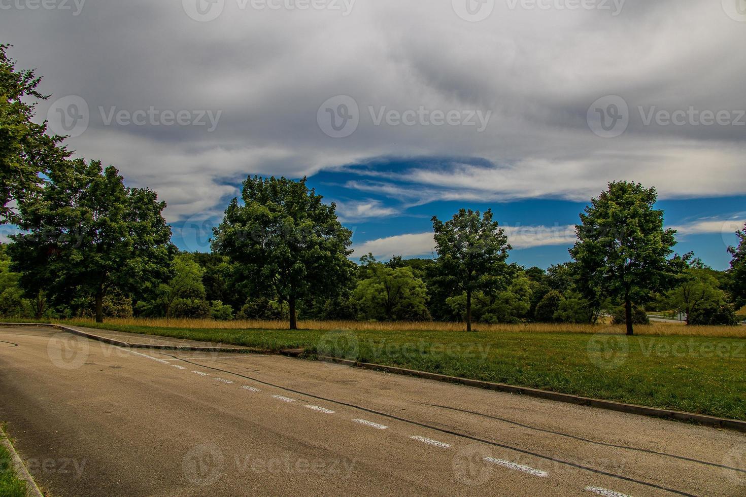 estate paesaggio con verde alberi, prato, i campi e cielo con bianca nuvole e calcestruzzo strada foto