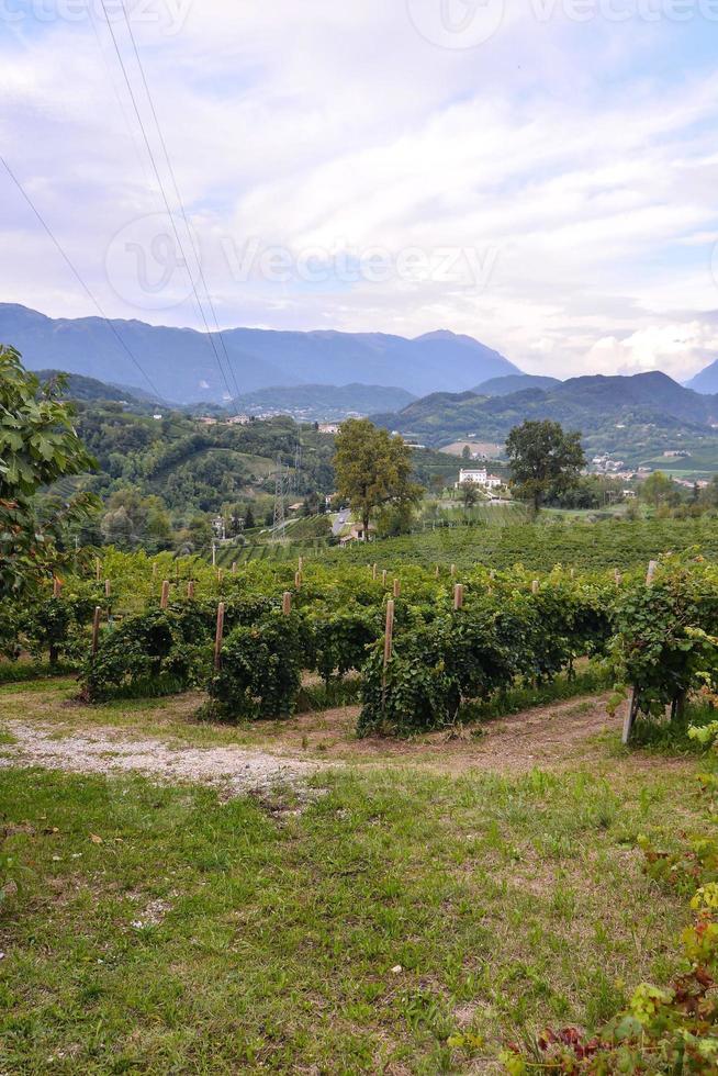 panoramico rurale paesaggio foto