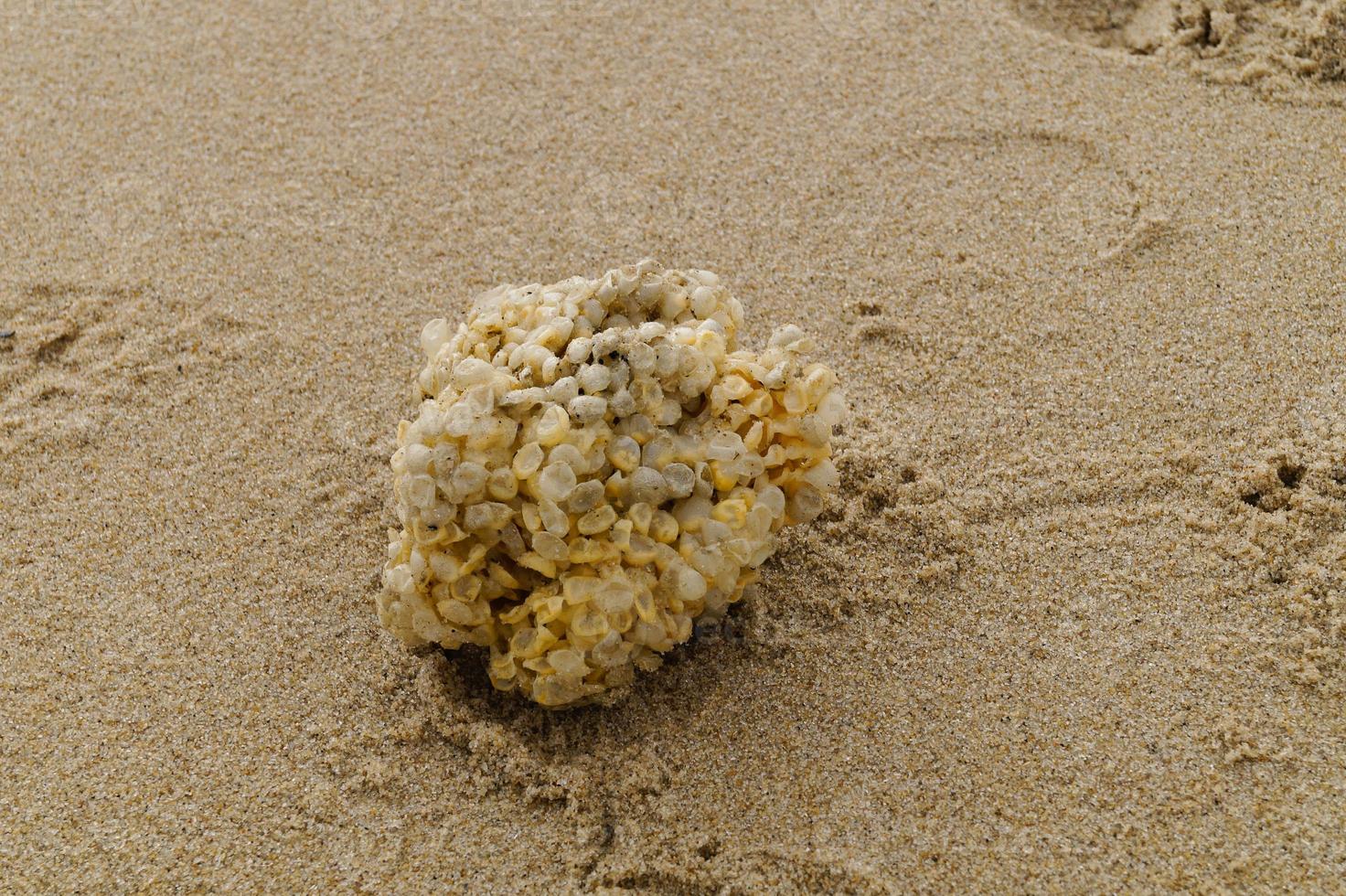 voi può trova il giallo spanball di il bucce a il spiaggia di blavanda foto