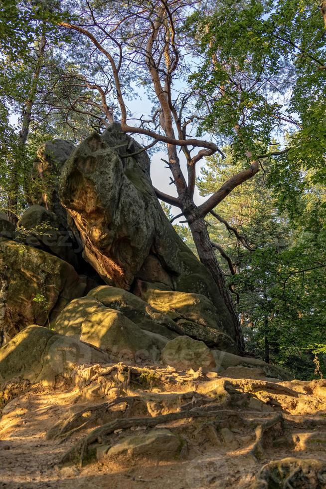 diavolo pietra nel un' foresta nel il montagne di pogorzyce nel Polonia su un' estate giorno foto