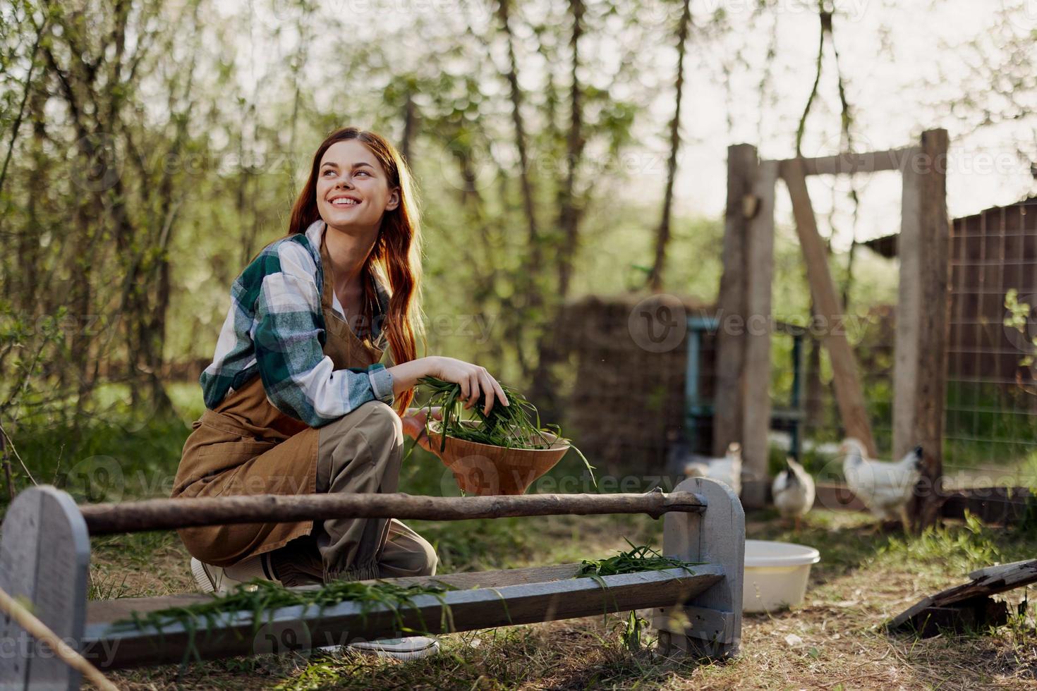 giovane bellissimo donna uccello azienda agricola lavoratore sorridente e contento alimentazione polli a il alimentazione depressione all'aperto seduta su il verde erba foto