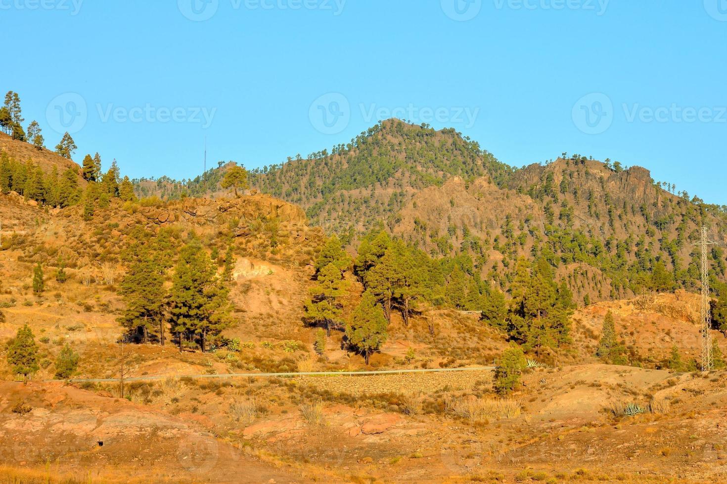 panoramico rurale paesaggio foto