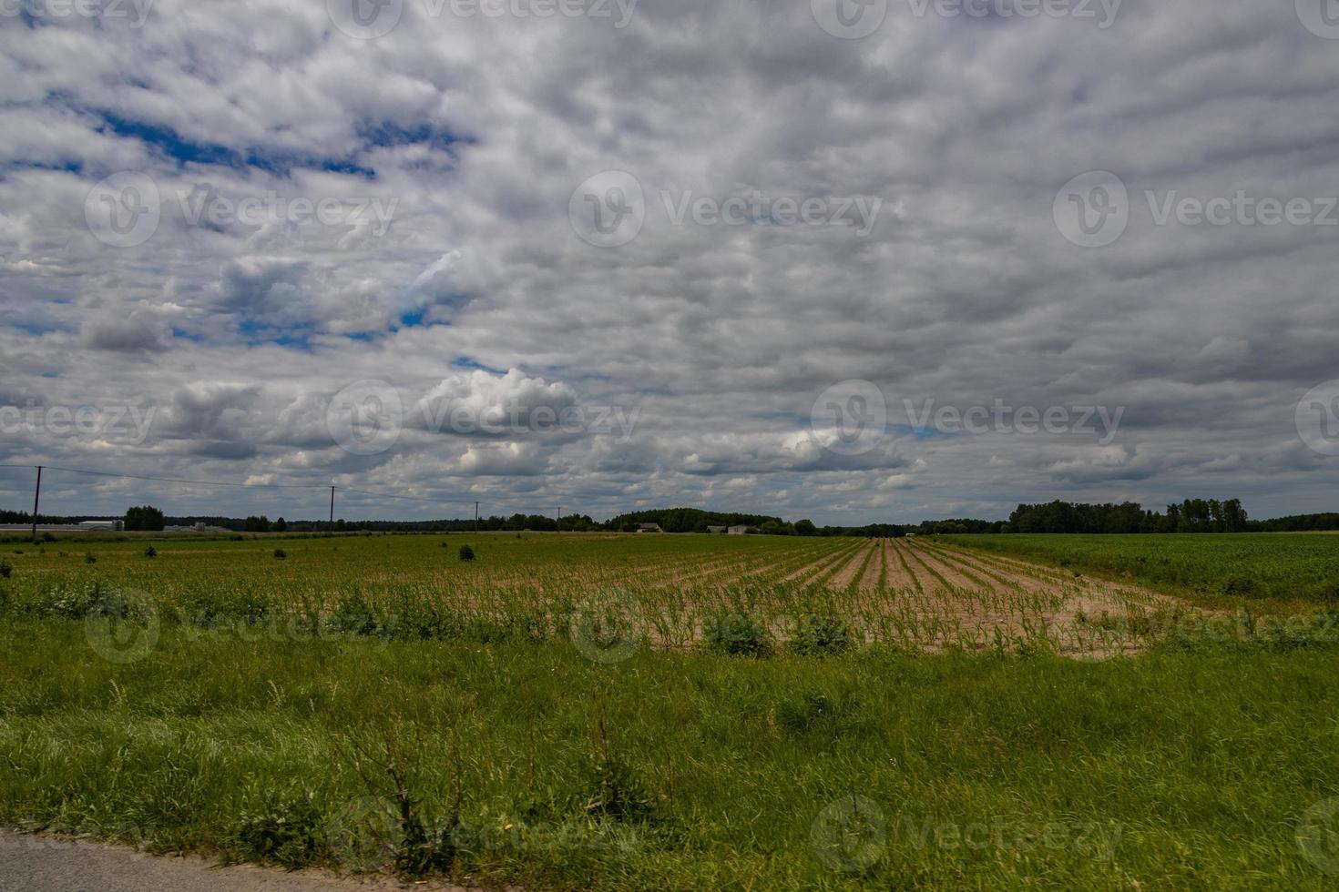 agricolo paesaggio nel Polonia su un' estate giorno foto