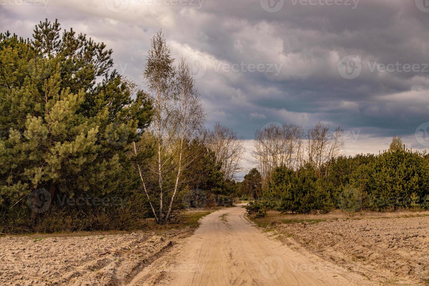 primavera paesaggio con un' sporco strada, campi, alberi e cielo con nuvole nel Polonia foto