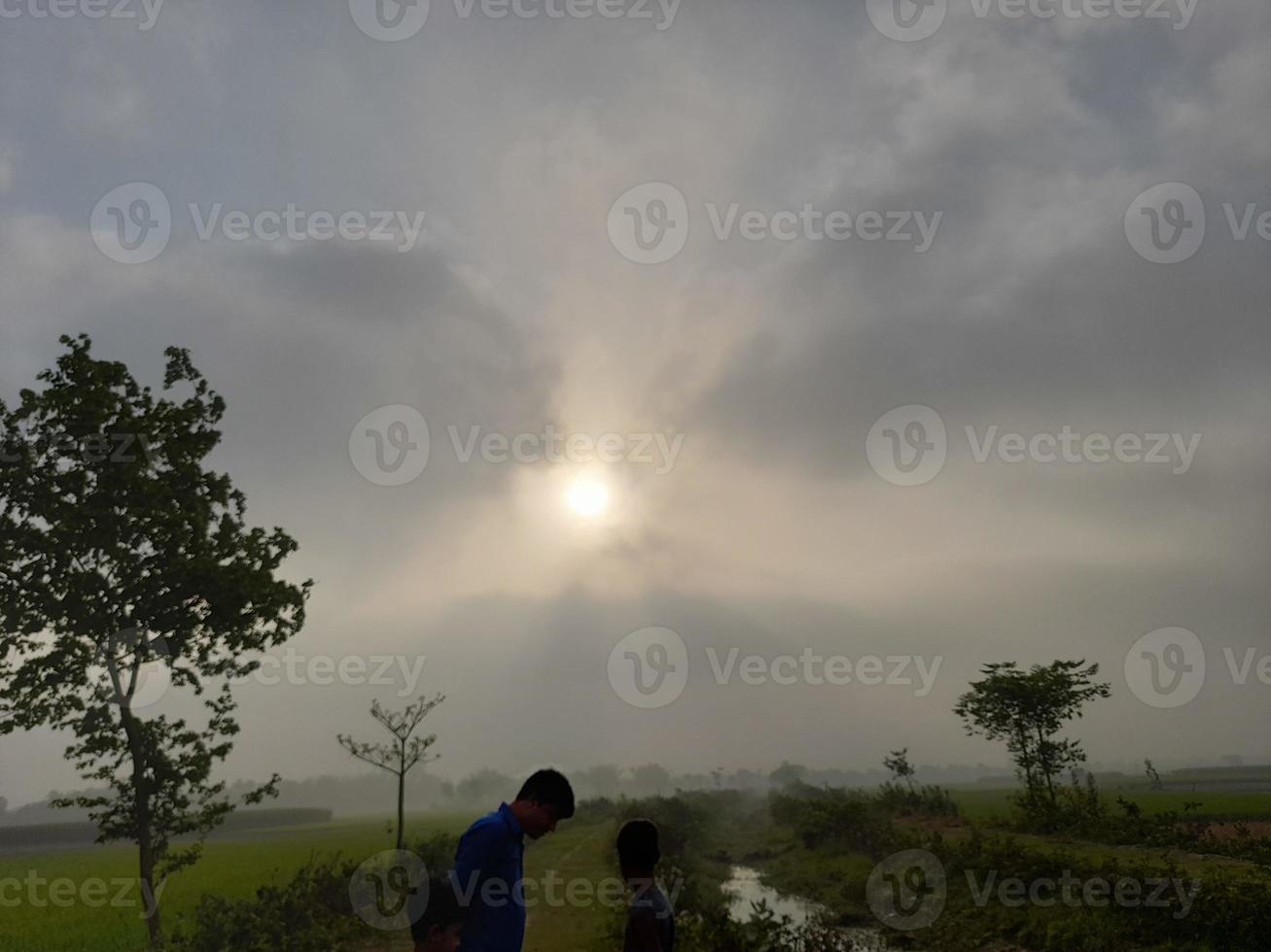 bellissimo paesaggio di Alba momento nel un' verdura campo nel bangladesh, Asia foto