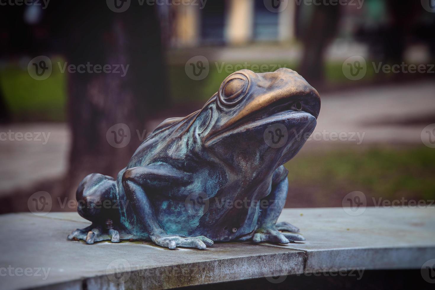 metallo rana a partire dal il Fontana su il mercato piazza nel lebork, Polonia nel avvicinamento foto