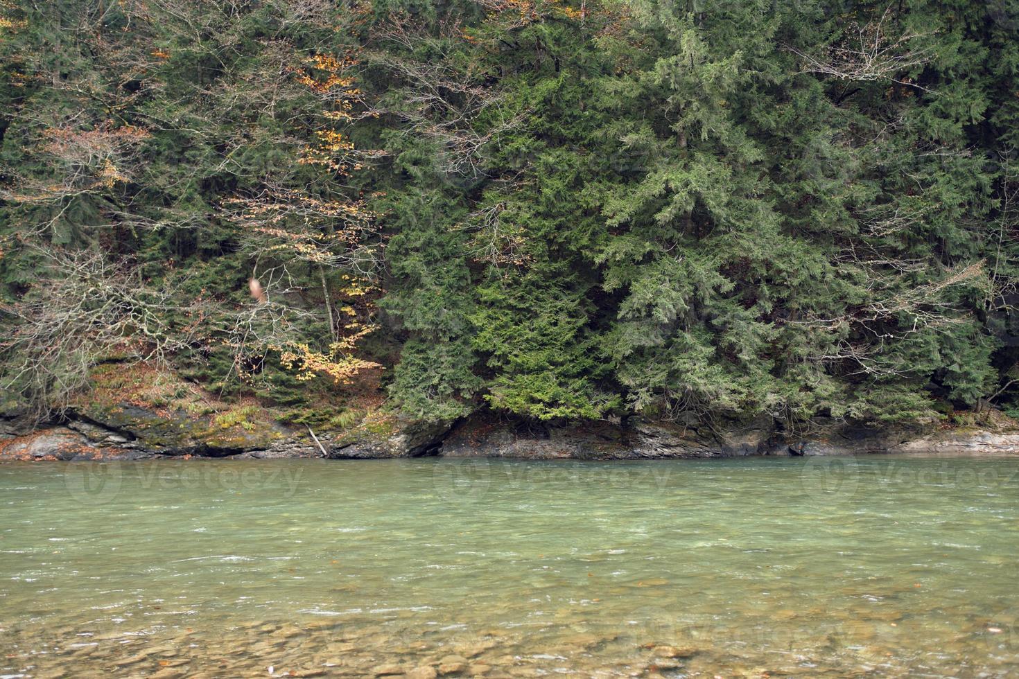 autunno foresta montagne caduto le foglie fiume paesaggio foto