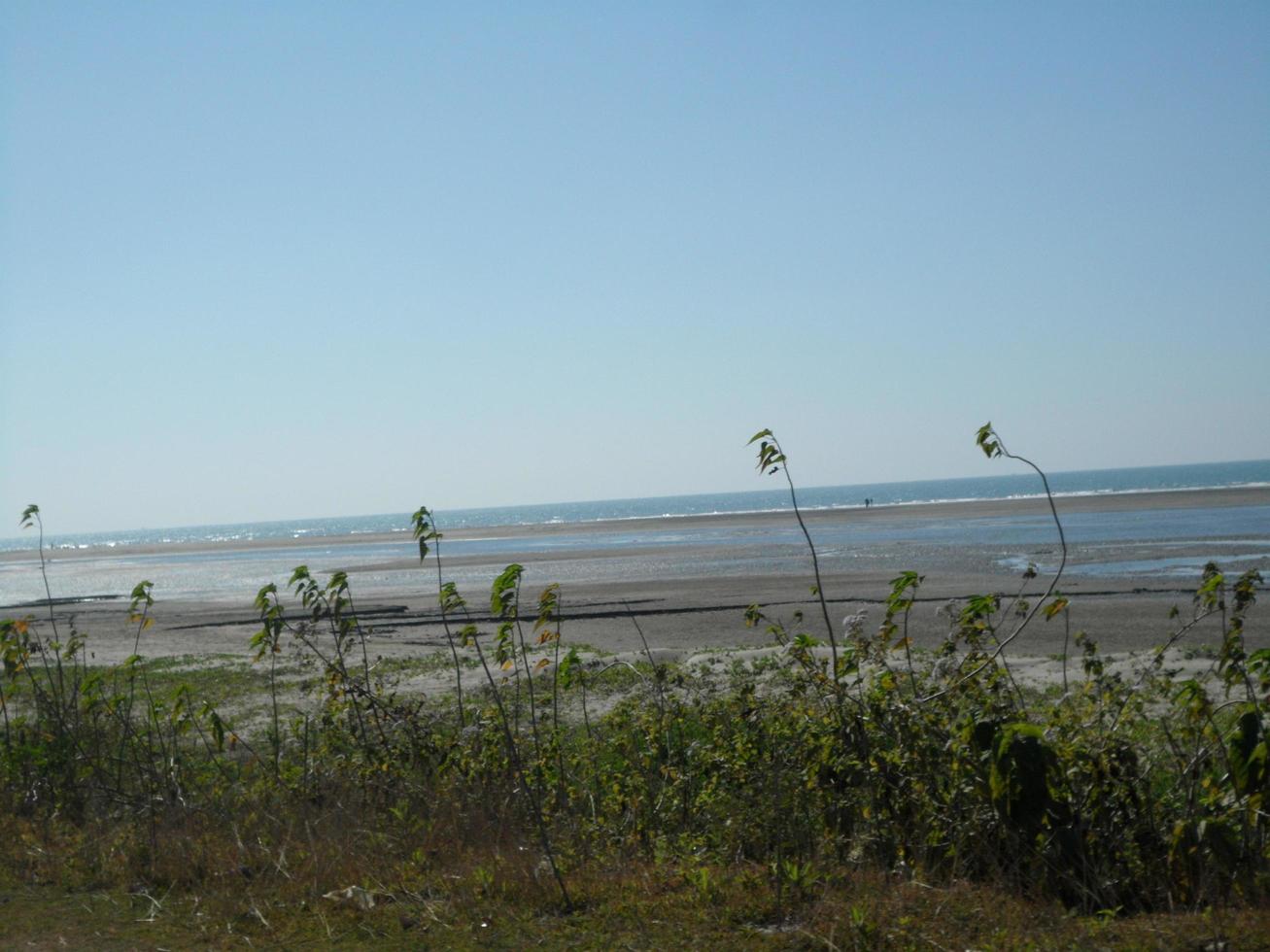 foto di un' soleggiato giorno Visualizza di un' bellissimo tropicale spiaggia e mare su un' soleggiato giorno nel di cox bazar, bangladesh. viaggio e vacanza.