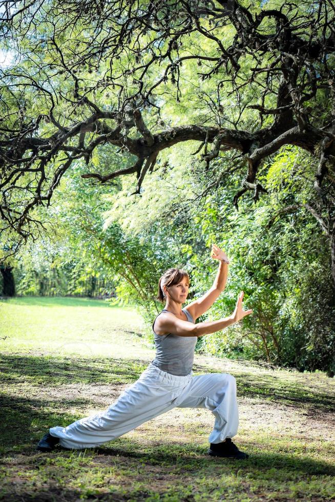 bellissimo donna fare tai chi nel parco. foto