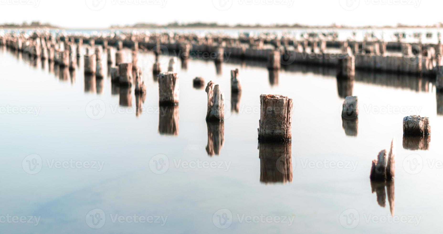 strutture in legno in acqua foto