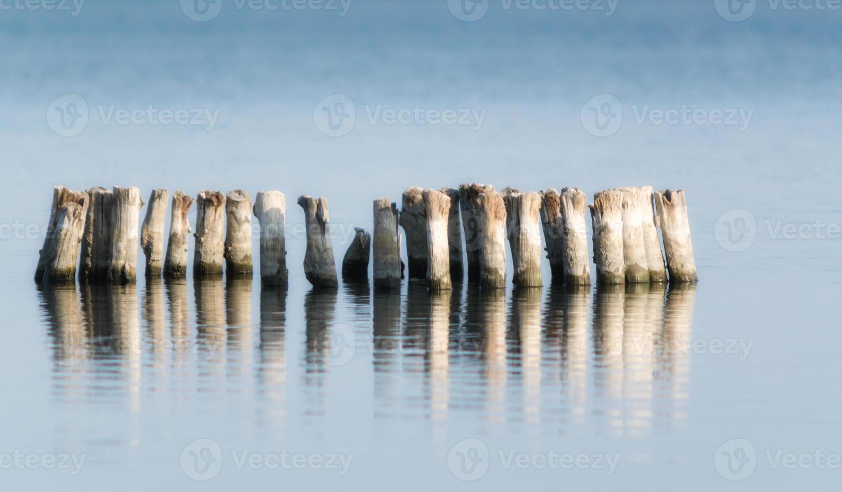 pali di legno in fila in acqua foto