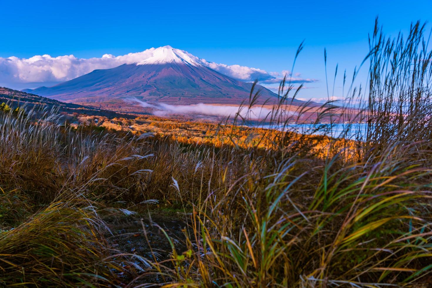 bellissimo mt. fuji al lago yamanaka, giappone foto