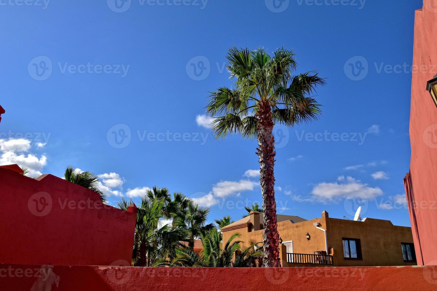 città di Corralejo su il spagnolo canarino isola Fuerteventura su un' caldo vacanza giorno foto