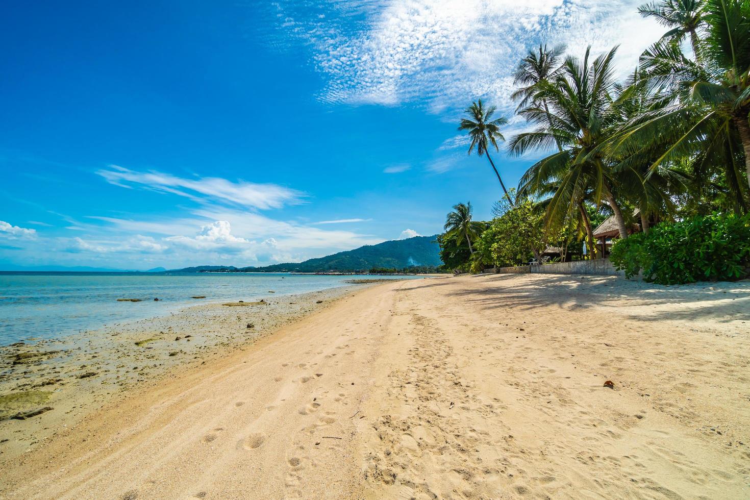 bellissima spiaggia tropicale foto