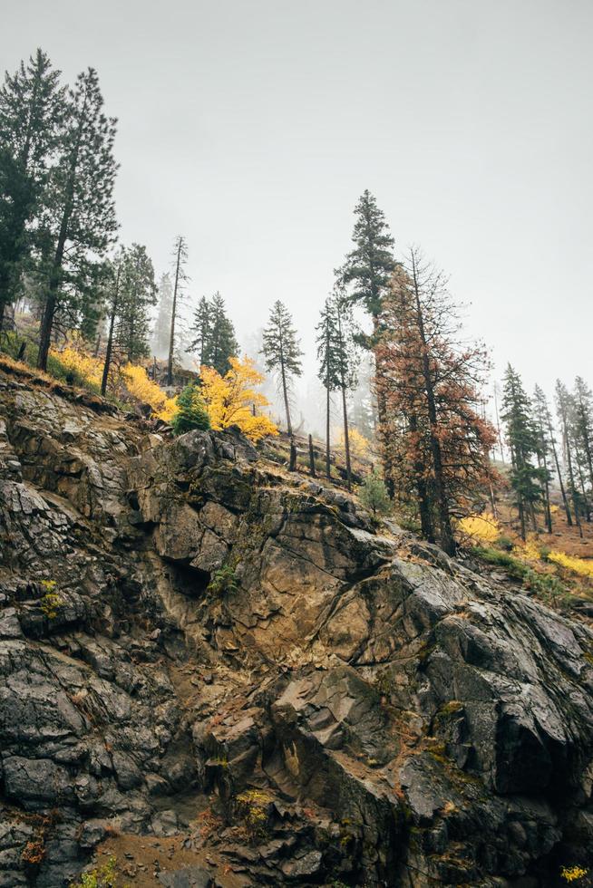 montagna rocciosa con alberi foto