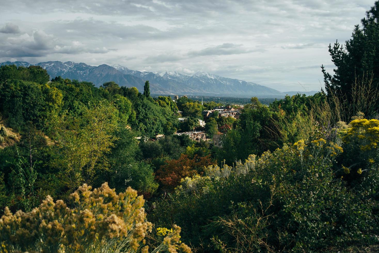 paesaggio forestale con montagne foto