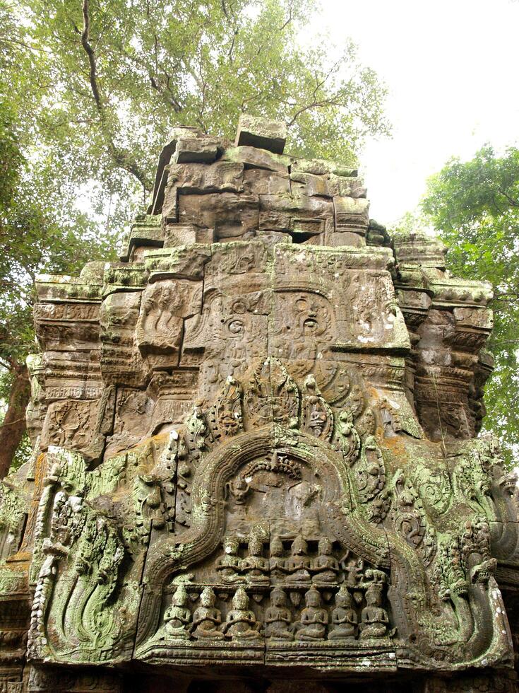 cambogia 2010- tempio di pietra di angkor wat foto