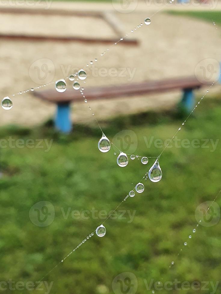 poco morbido acqua gocce su un' ragno ragnatela su un autunno giorno avvicinamento all'aperto foto