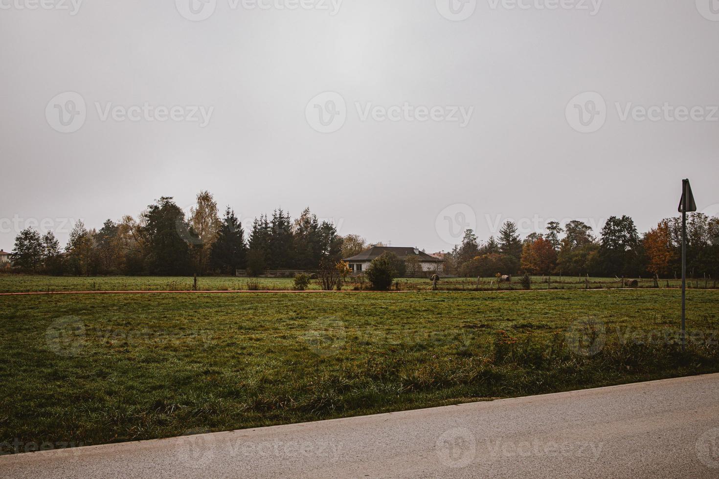 calma autunno paesaggio con strada e alberi su un' grigio nuvoloso giorno nel di Varsavia quartiere nel Polonia foto