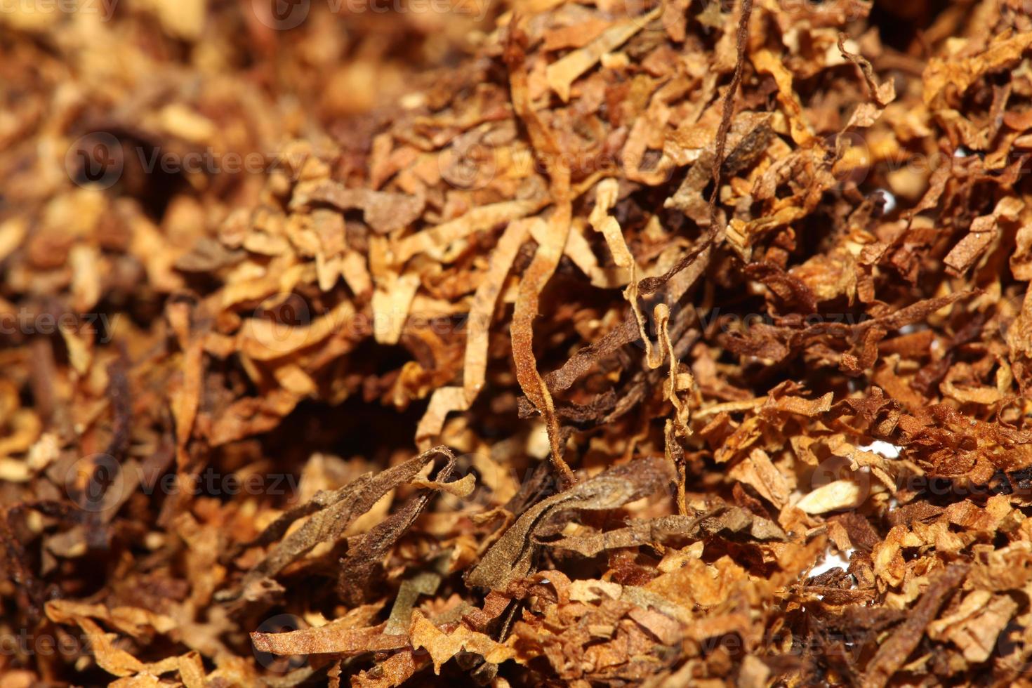 rotolamento secco tabacco foglie vicino su sfondo grande dimensione alto qualità azione fotografie fumo dipendente se stesso fatto sigarette e comune