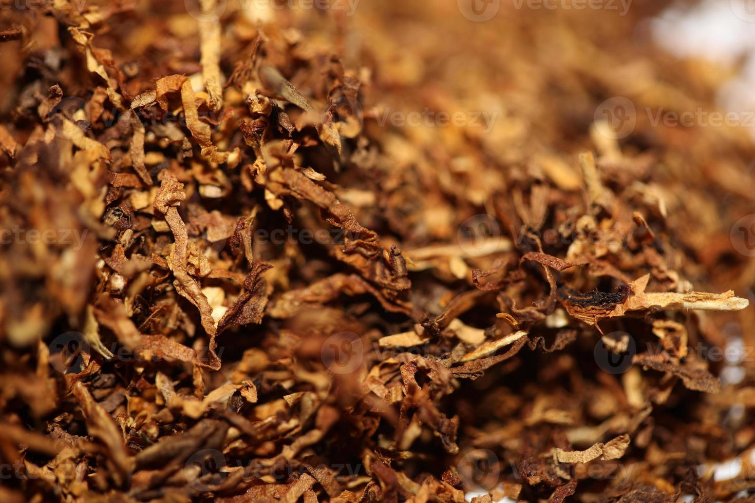 rotolamento secco tabacco foglie vicino su sfondo grande dimensione alto qualità azione fotografie fumo dipendente se stesso fatto sigarette e comune