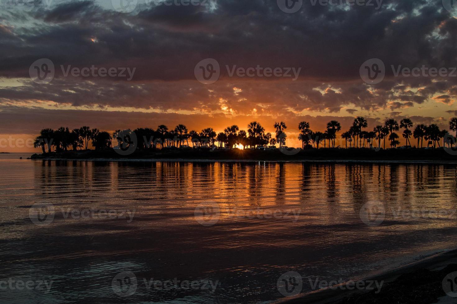 Visualizza di tramonto al di sopra di palma alberi e acqua a fred howard parco, tarpon molle a tramonto foto