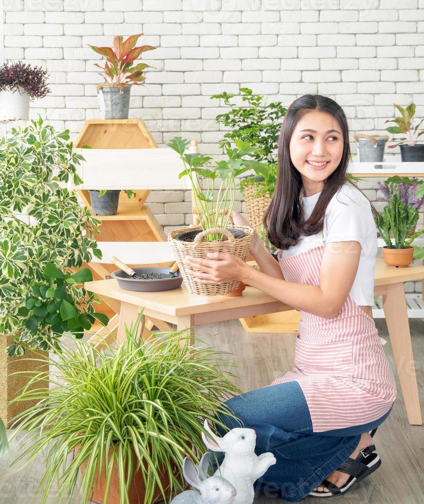 ritratto giardino bellissimo bella giovane asiatico ragazza donna indossare bianca camicetta con lungo nero capelli e Sorridi fresco con luminosa Sorridi Guarda pentola piccolo albero foglia verde pianta nel camera negozio contento e rilassare foto