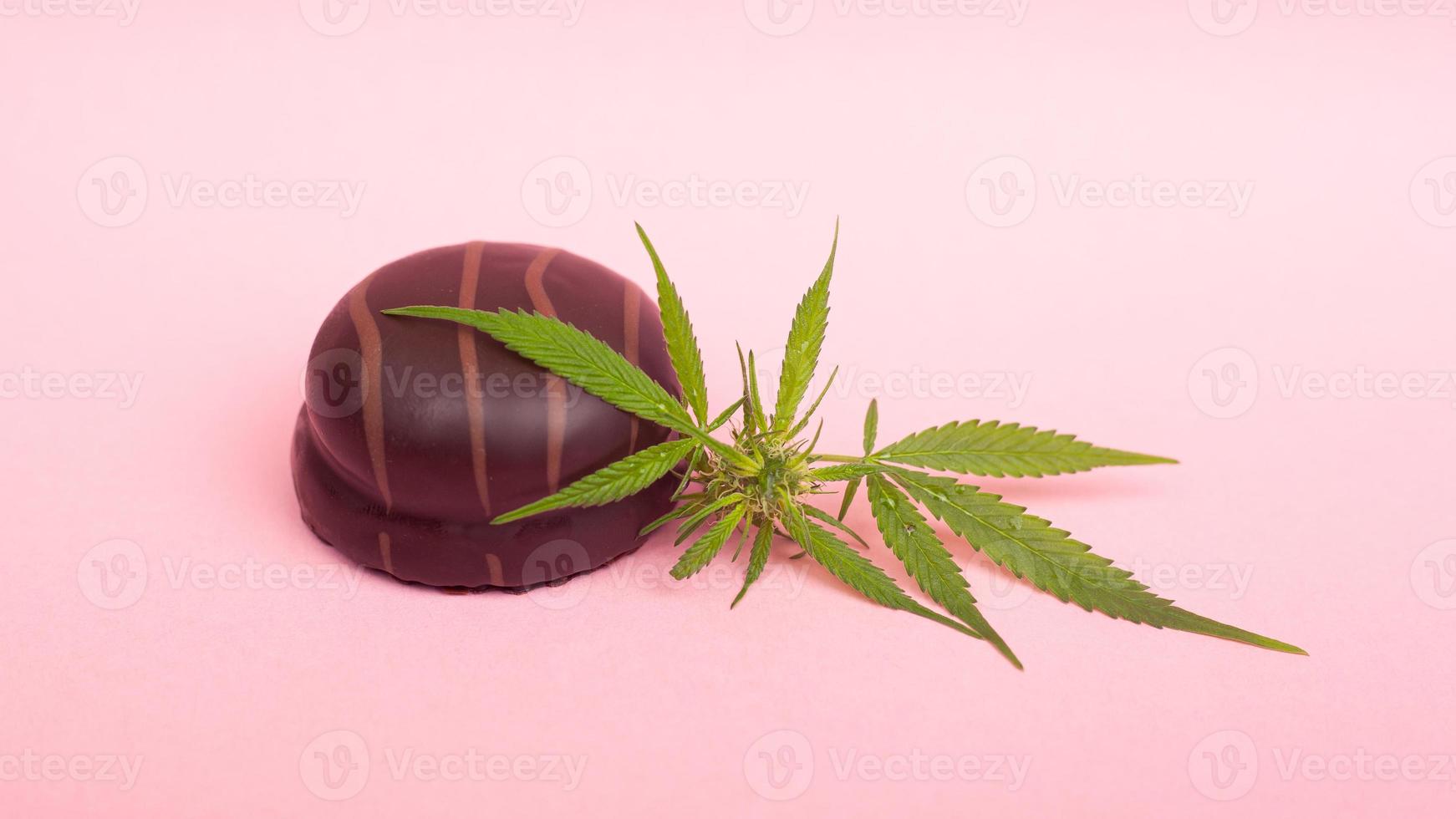 biscotto al cioccolato con estratto di thc ed estratto di cbd su sfondo rosa foto