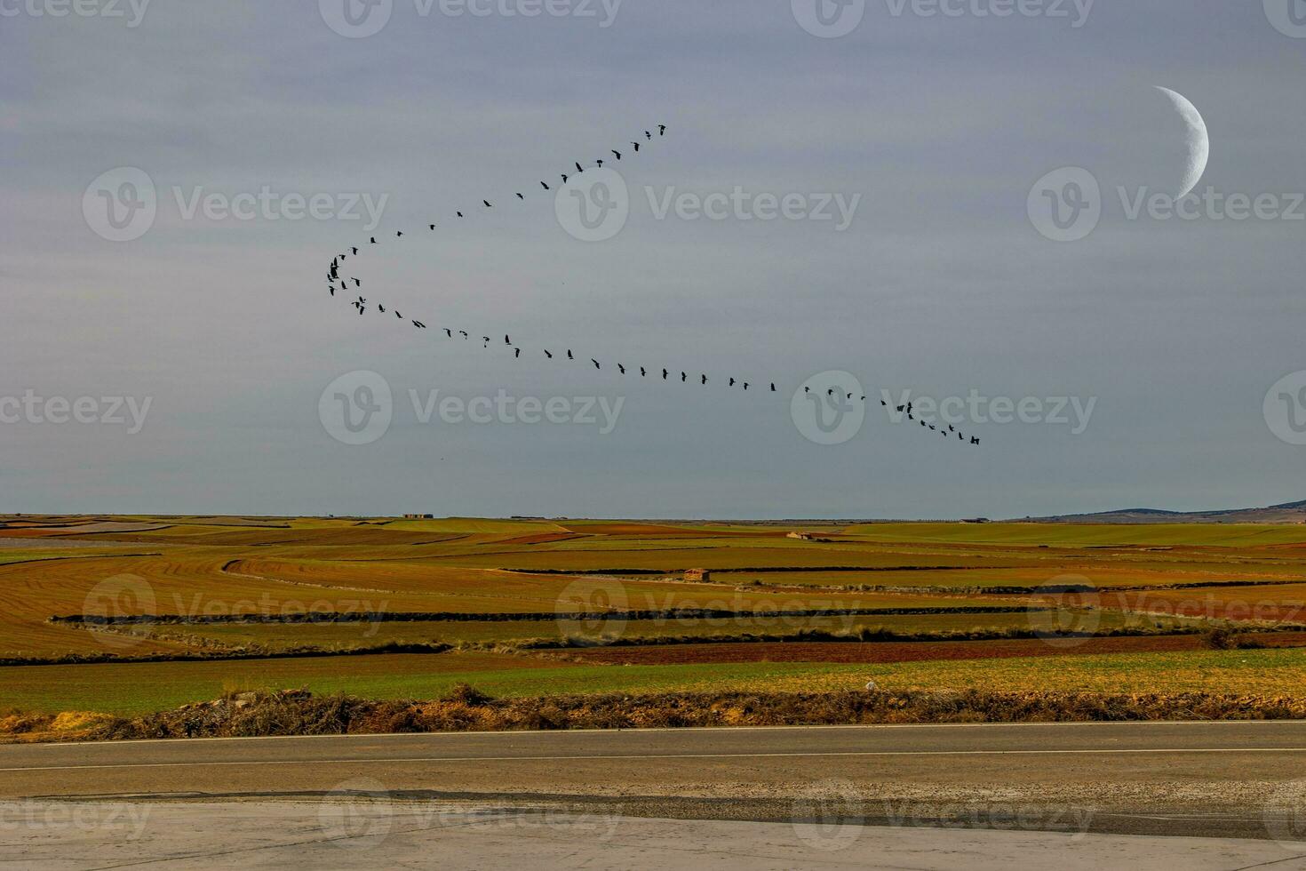 sereno minimalista paesaggio aragona Spagna nel inverno giorno foto