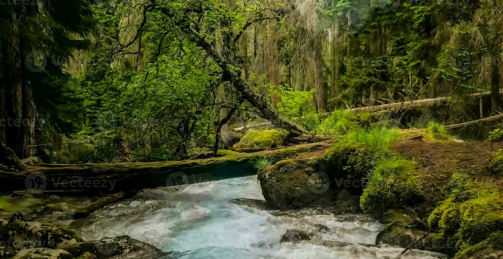 sorprendente natura sfondo foto