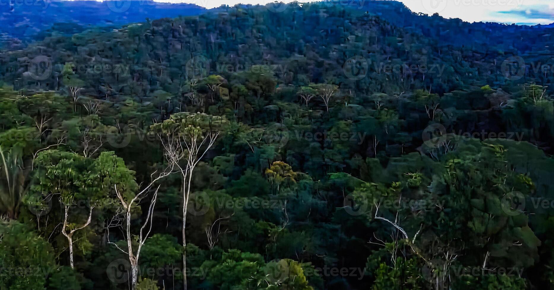 sorprendente natura sfondo foto