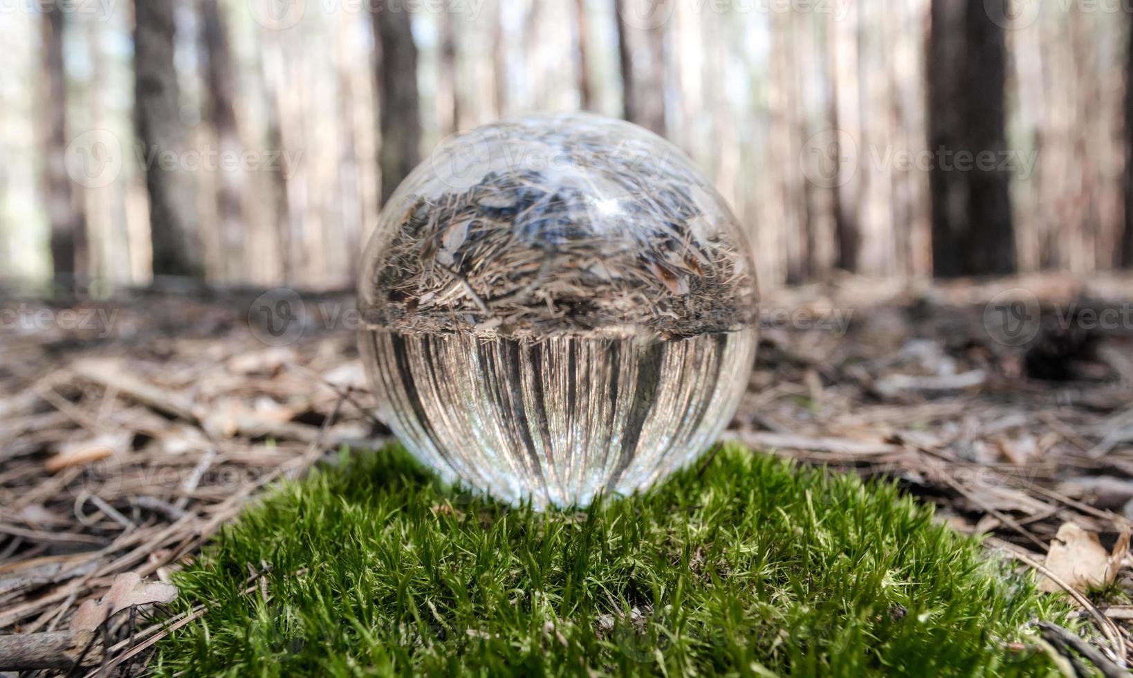 palla di vetro nella foresta foto