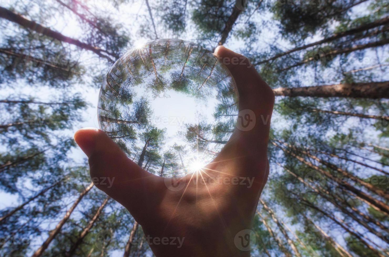 persona in possesso di una palla di vetro in una foresta foto