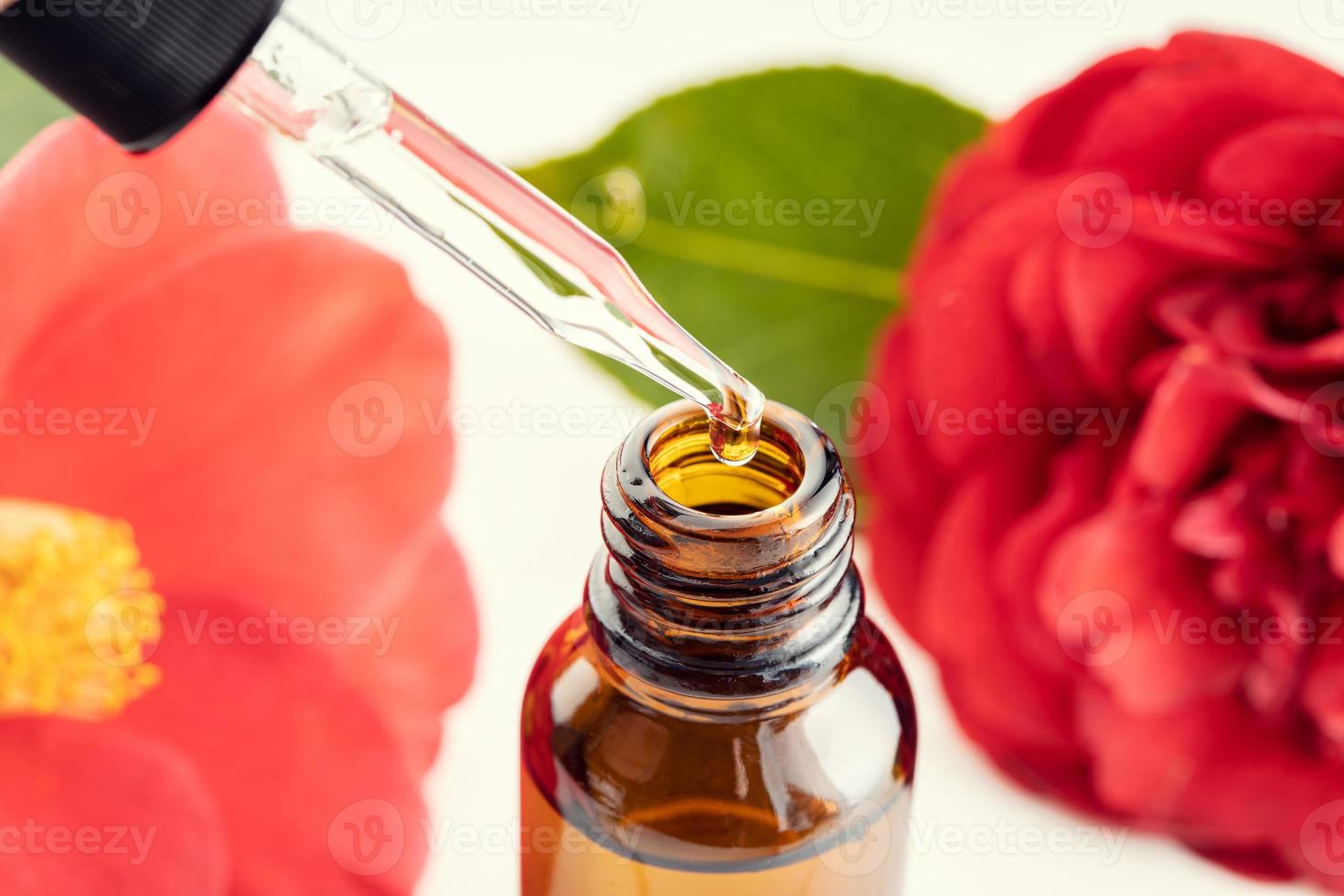 olio essenziale di camelia Close up di una pipetta bottiglia di ambra e fiori di camelia in background foto
