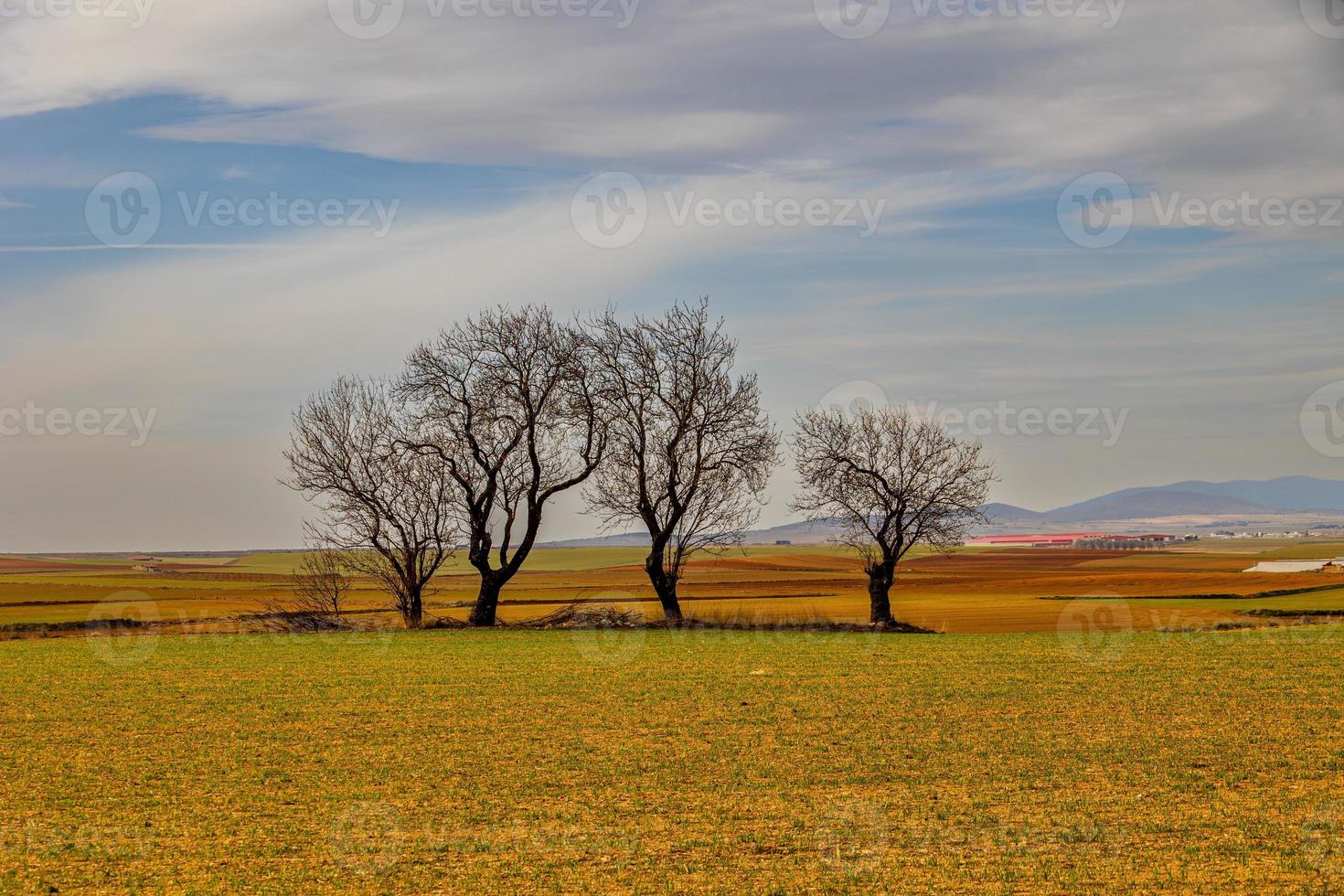 sereno minimalista paesaggio aragona Spagna nel inverno giorno foto