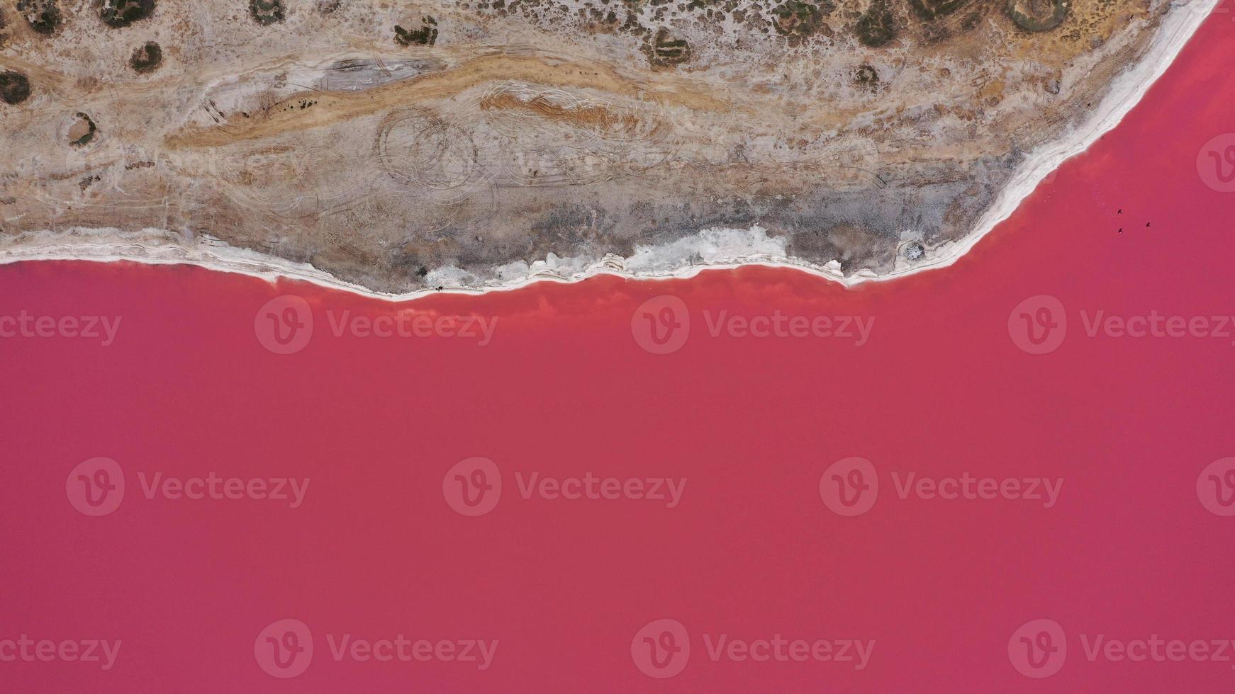 foto dall'alto con drone aereo di un lago rosa naturale e della costa genichesk, ucraina. il lago diventa naturalmente rosa a causa dei sali e della piccola artemia di crostacei presenti nell'acqua. questo miracolo è raro.