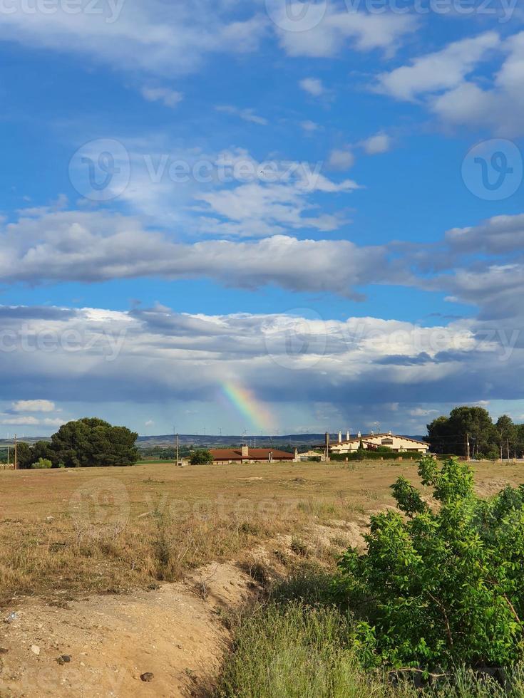 estate rurale paesaggio su un' estate giorno con un' colorato arcobaleno nel il blu cielo foto