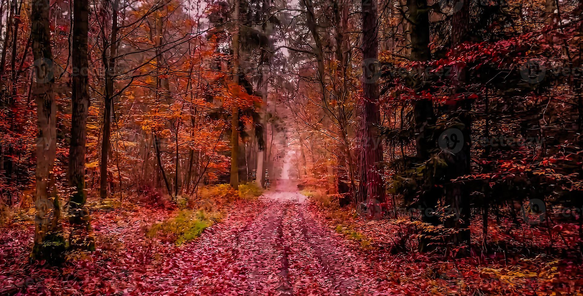 sorprendente natura sfondo foto