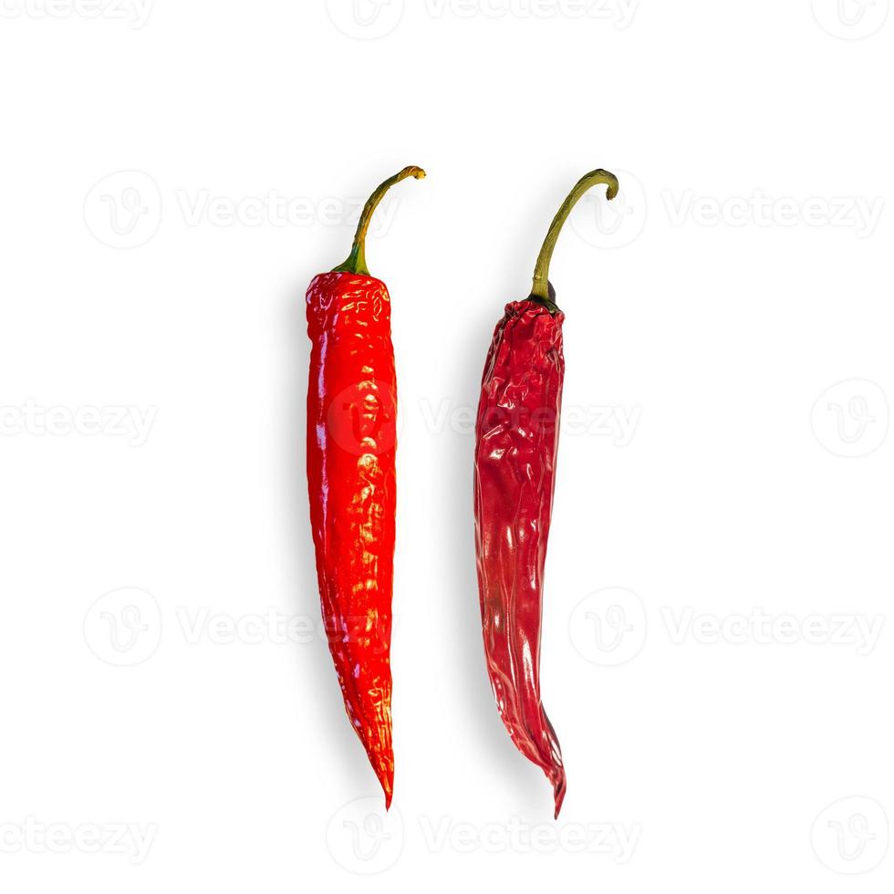 paio rosso e caldo peperoni paprica chili, uno fresco un altro è vecchio e secco isolato con suo ombre a bianca sfondo. concetto contrasto di caldo prodotti. foto