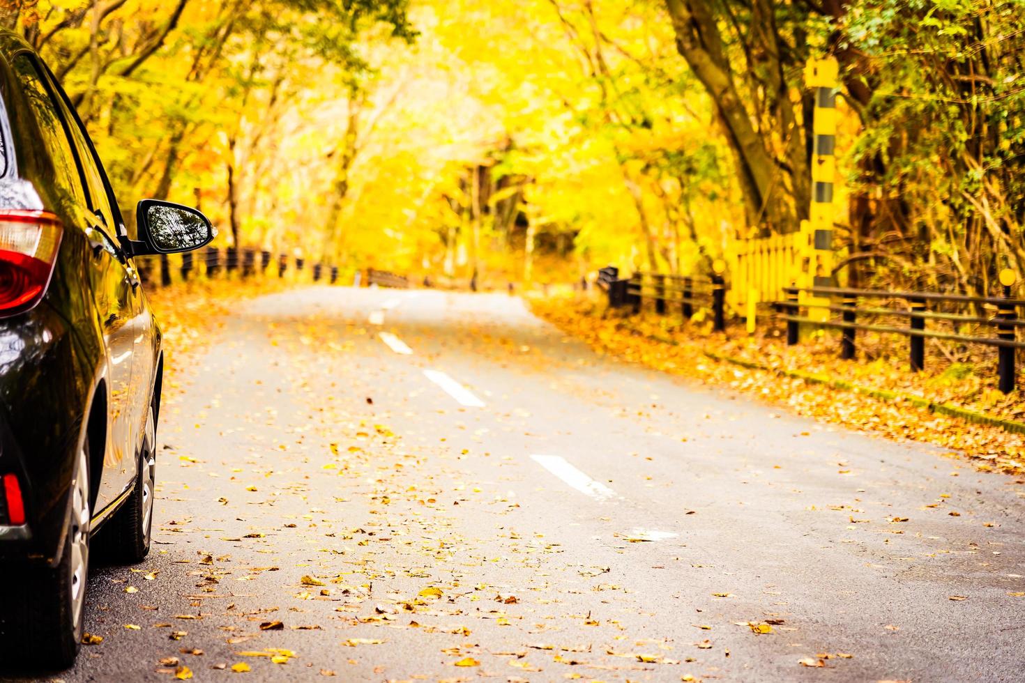 auto sulla strada nella foresta di autunno foto