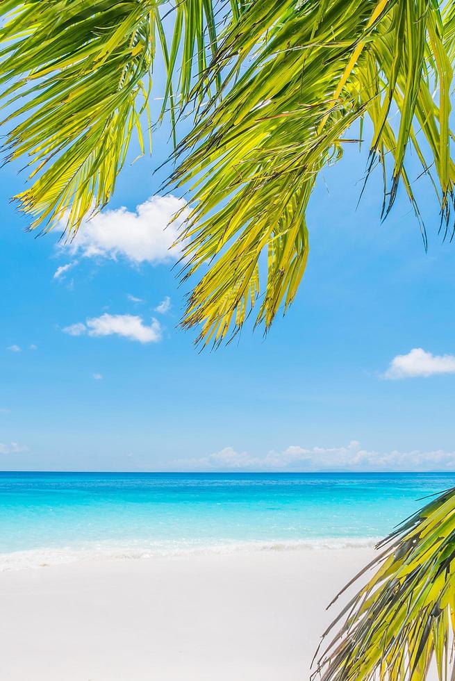 bellissima spiaggia tropicale con foglie di palma foto