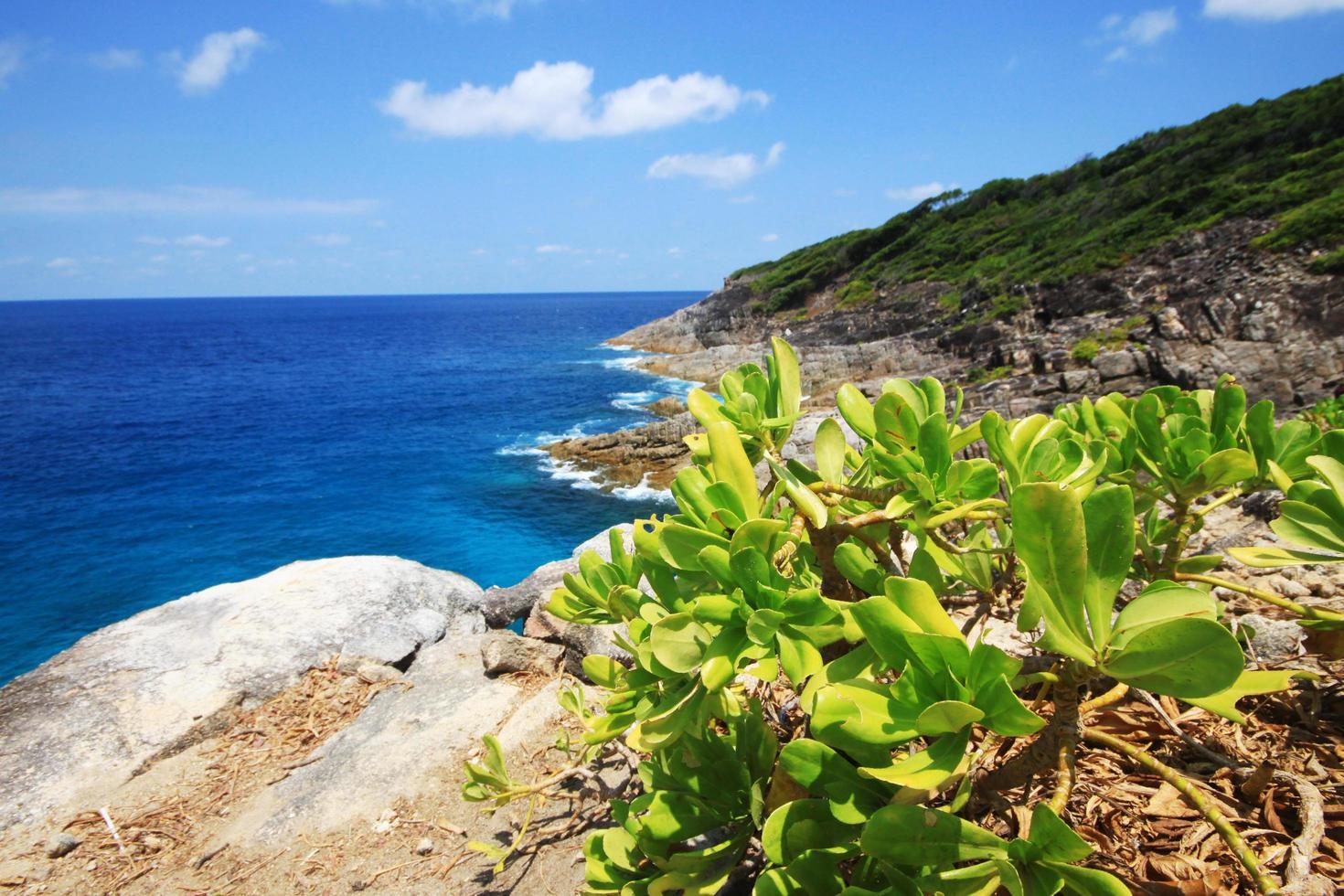 bellissimo Paradiso nel estate di paesaggio marino e mare orizzonte con yacht barca nel calma oceano e blu cielo su roccia montagna capo.tropicale spiaggia impianti e giungla isola foto