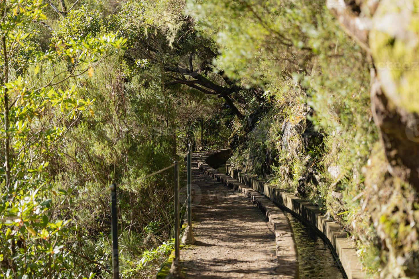 escursioni a piedi sentiero lungo irrigazione canale per lagoa Das 25 Fontes su Madera, Portogallo foto