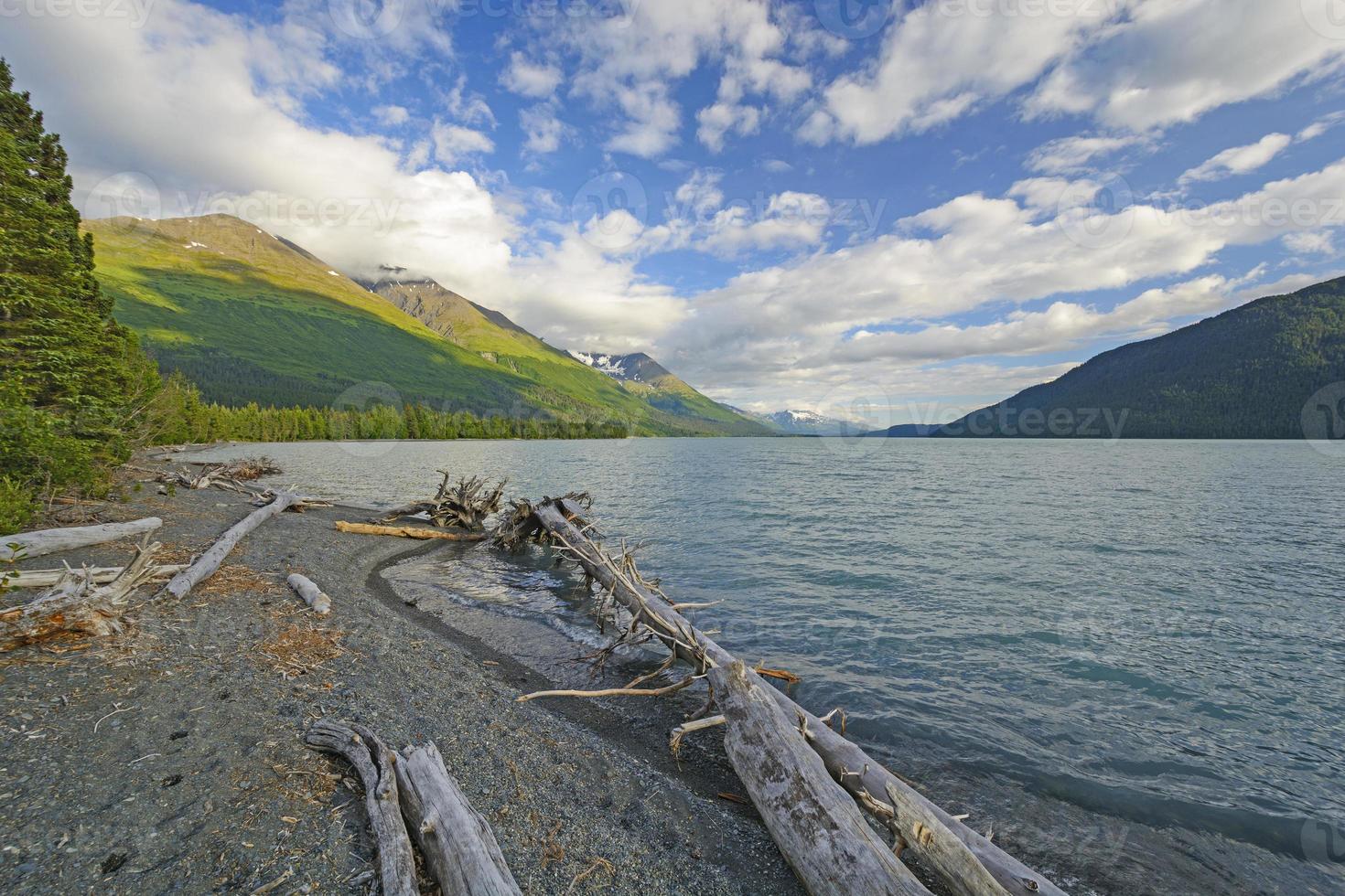 Driftwood su un' a distanza alpino riva foto