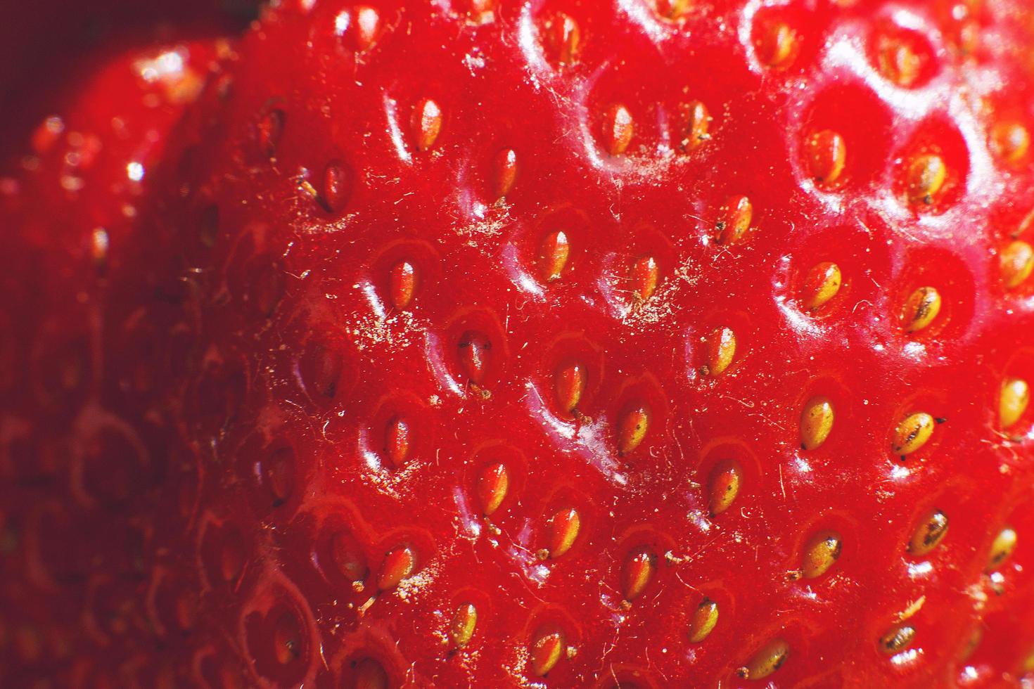 un' fragola sfondo. rosso fragola vicino su foto